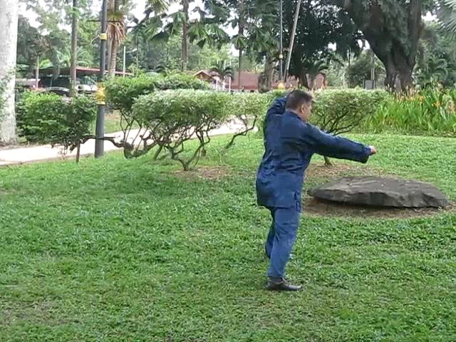 Wu Yu Xiang Style Taijiquan